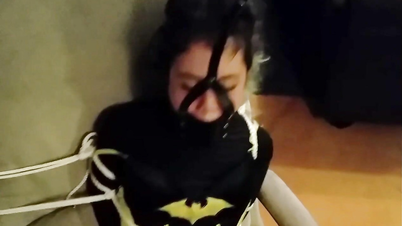 Shiny Bound - Rei - Batgirl Caught