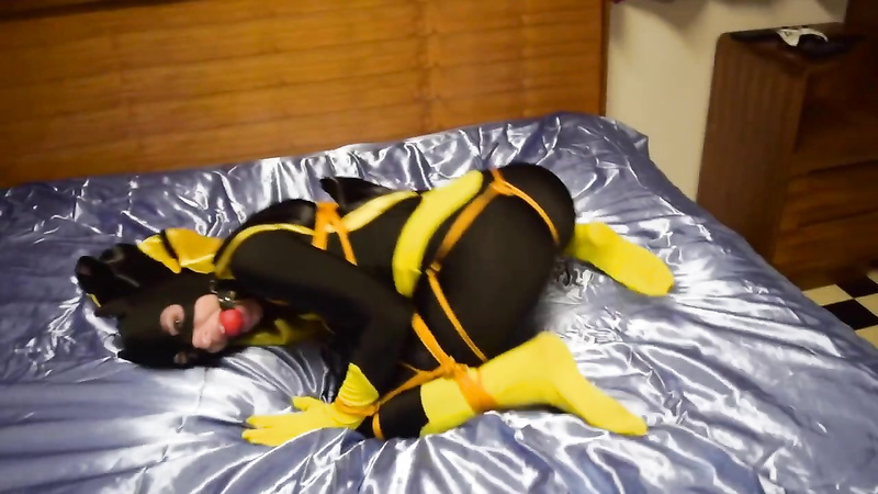 Shiny Bound - Simone - Batgirl Tied and Vibed