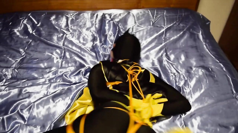 Shiny Bound - Simone - Batgirl Tied and Vibed