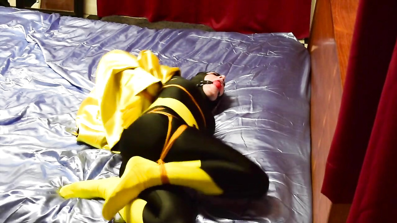 Shiny Bound - Simone - Batgirl Tied and Vibed