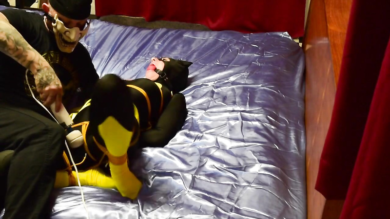 Shiny Bound - Simone - Batgirl Tied and Vibed