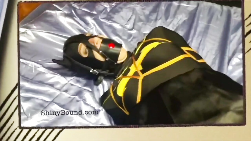 Shiny Bound - Terra Mizu - Batgirl Chairtied!?