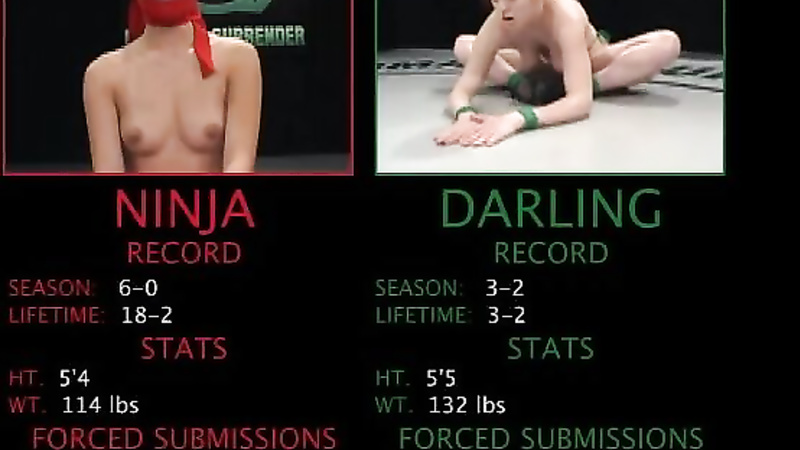 Ultimate Surrender	3667 Ninja & Darling