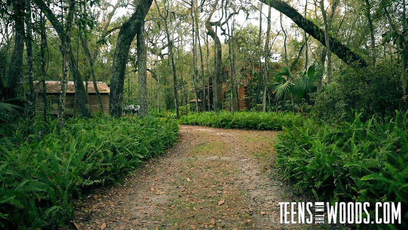 Teens In The Woods - Alex Blake