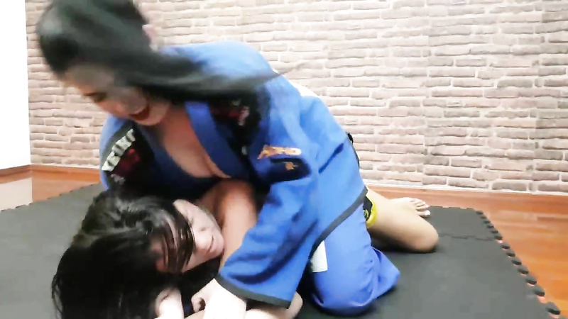 The Submission Of The Catfights