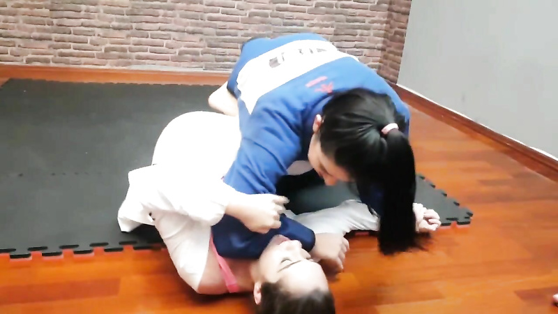 The Submission Of The Catfights