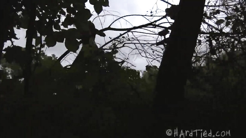 HARDTIED - ﻿Rain DeGrey Fear the Woodsman