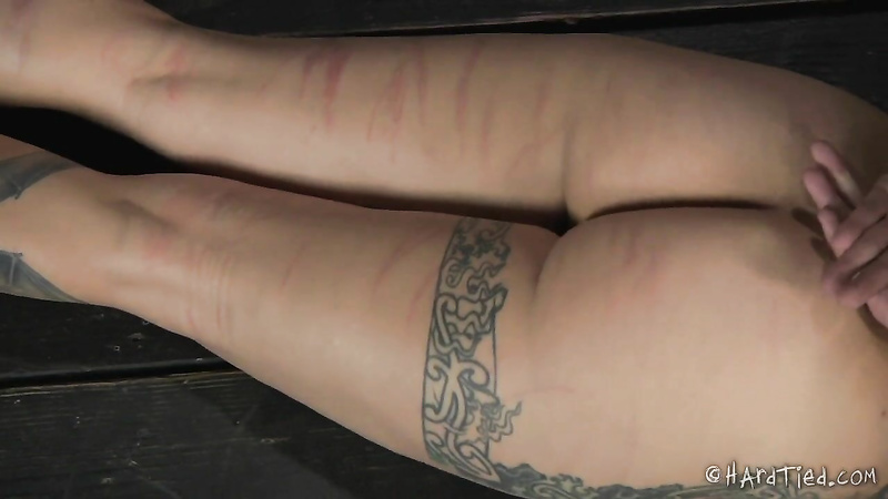 HARDTIED - ﻿﻿Henna Hex Tattooed Tramp