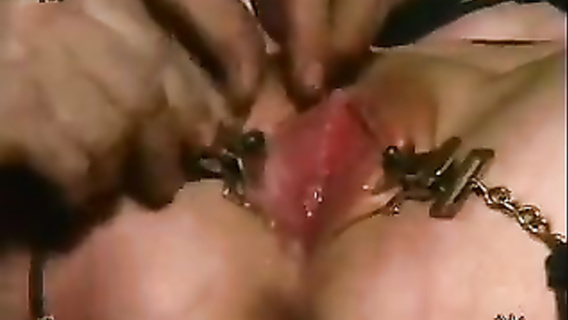 INSEX - Sabbatical (Live Feed From January 20, 2002) (Betty)