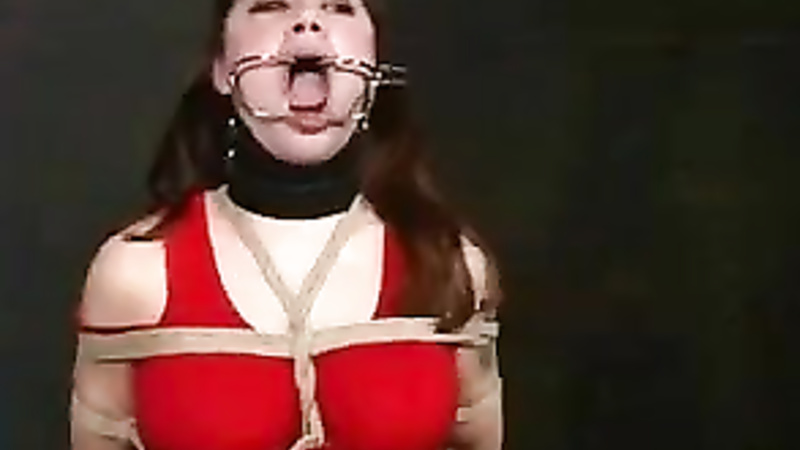 INSEX - Rack (Live Feed From Jan 4, 2004) (Piglet, 912)