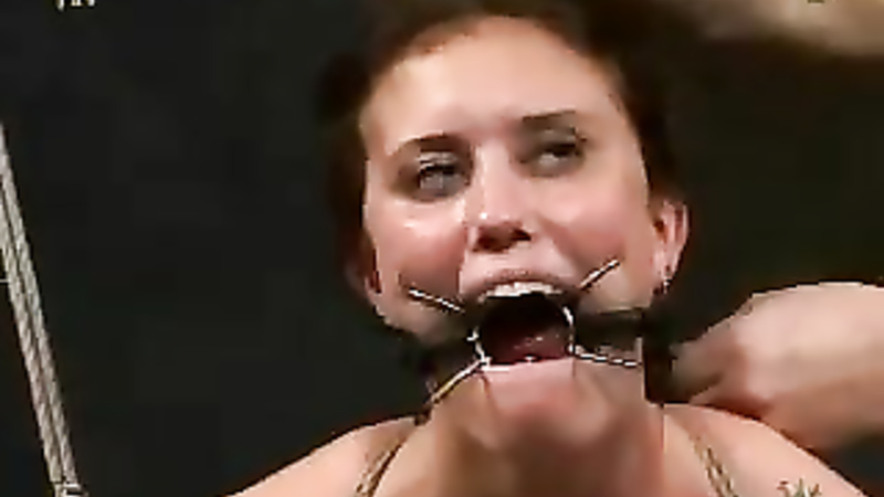 INSEX - Insex Cheer (Live Feed From June 3, 2001) (411, 101)