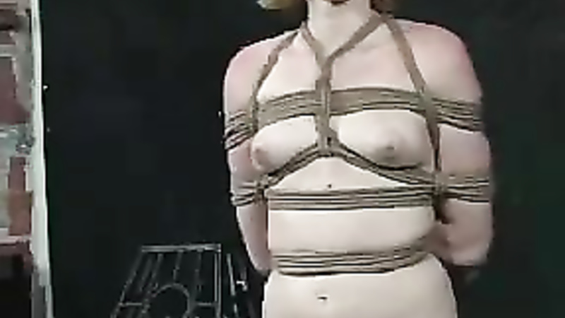 INSEX - Tutorial 1 (Instruction 1) (Live Feed From June 27, 2002) (411, 626)