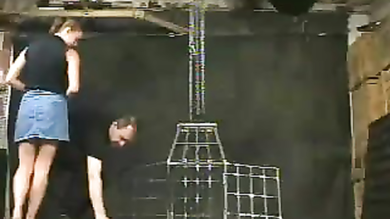 INSEX - Application (Live Feeds From June 29 and July 6, 2001) (411)