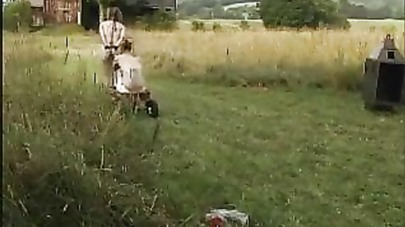 INSEX - Live at the Farm (Mala Mansio) (Live Feed From August 4, 2002) (Spacegirl, 411)