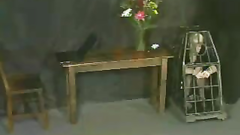 INSEX - Interrogation (Live Feed From March 3, 2002) (130)