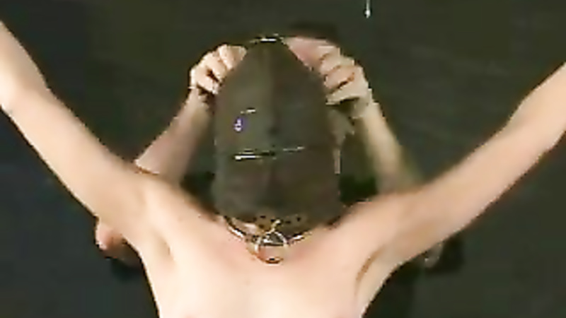 INSEX - 411 Punctured (Live Feed August 3, 2001) (411, 101)