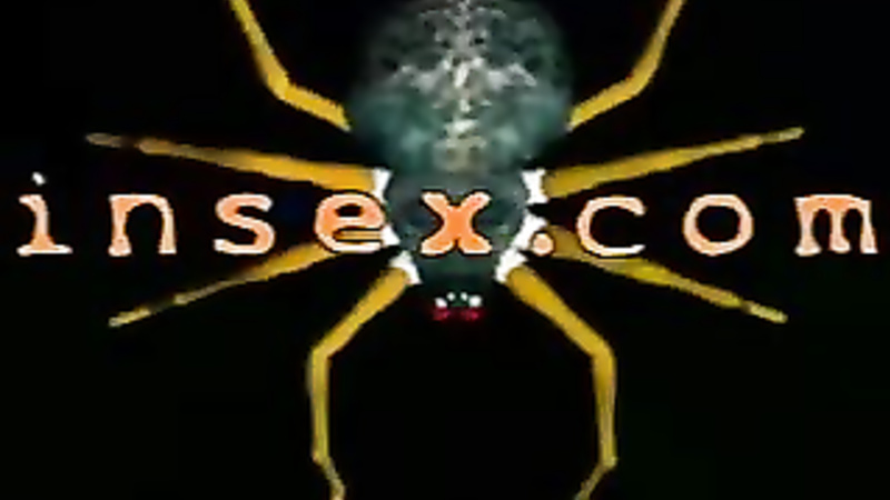 INSEX - Cy's Live Feed (Live Feed From March 5, 2000) (Cy)