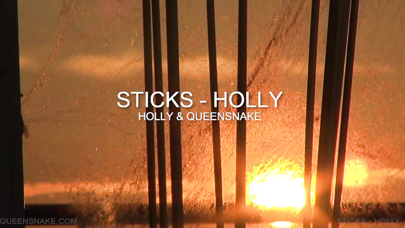 STICKS - HOLLY