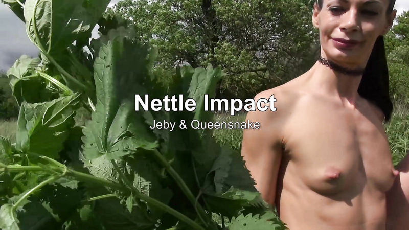 NETTLE IMPACT