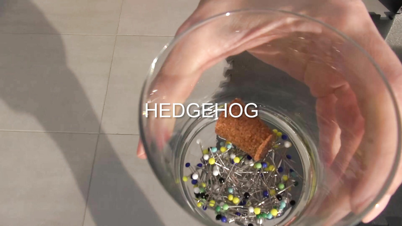 HEDGEHOG