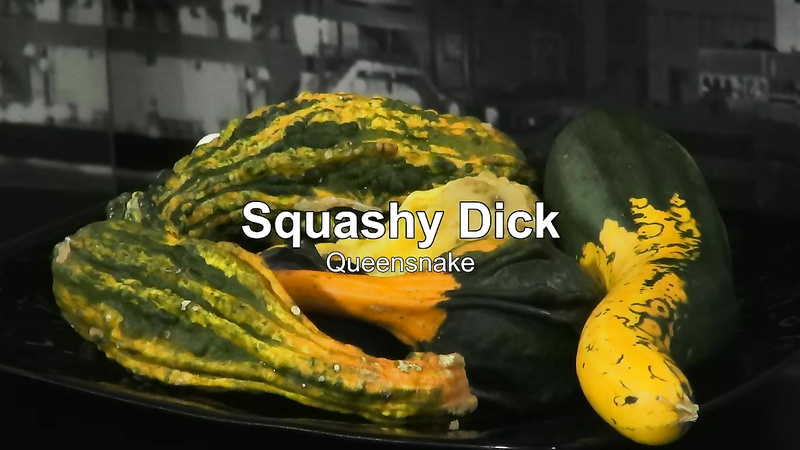 SQUASHY DICK