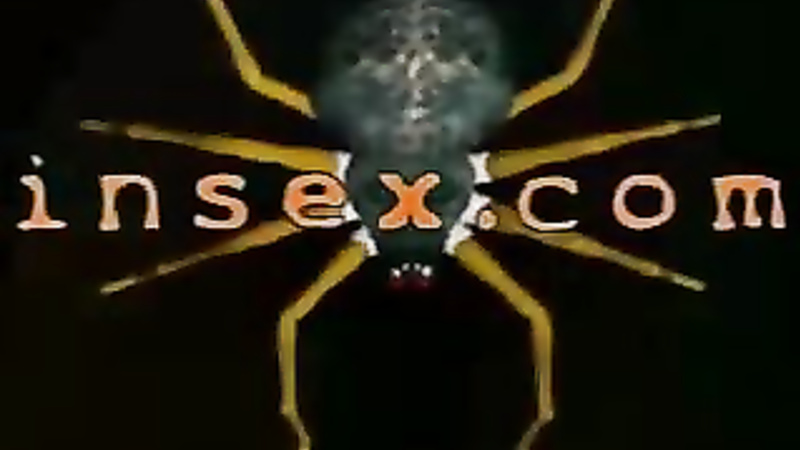 INSEX - 101's Live Feed (From February 12, 2001) (101)