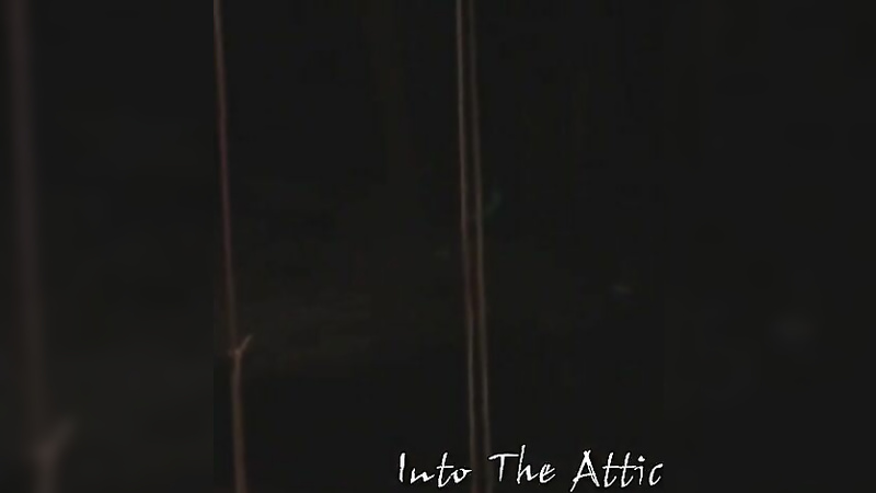 Into The Attic Elise 001 RT10.2010 Feb 04