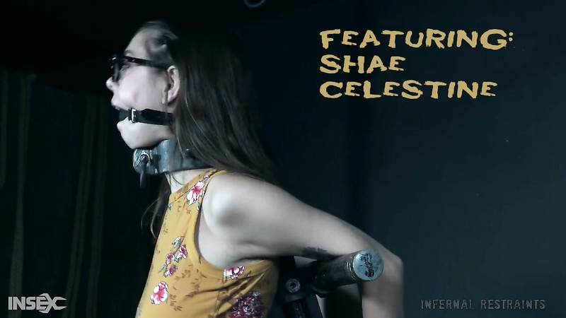 INFERNAL RESTRAINTS - Shae Celestine - Newbie Knockout