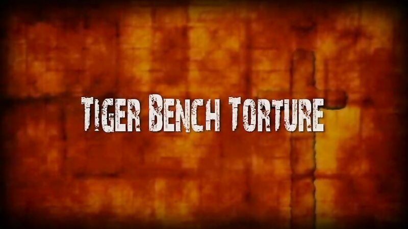 BRUTAL MASTER Elle Tiger Bench Torture