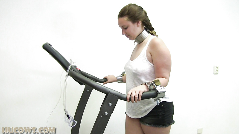 Vina on the treadmill