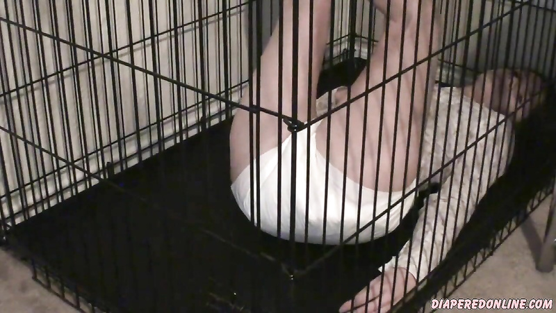 Dolly: Messing in Cage