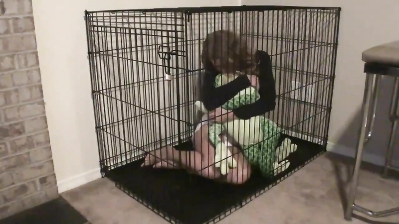 Amber: Unassisted Messing in Cage
