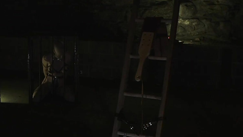 BRUTAL MASTER  Greyhound On The Ladder In The Dungeon