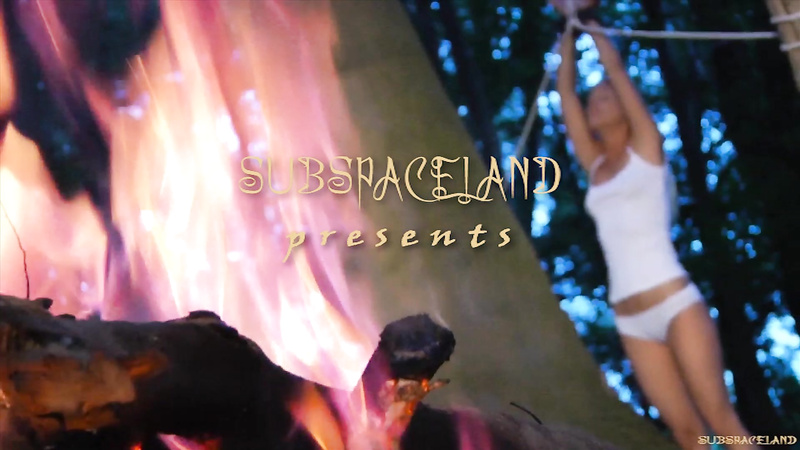 Dreams Of Subspaceland - part II