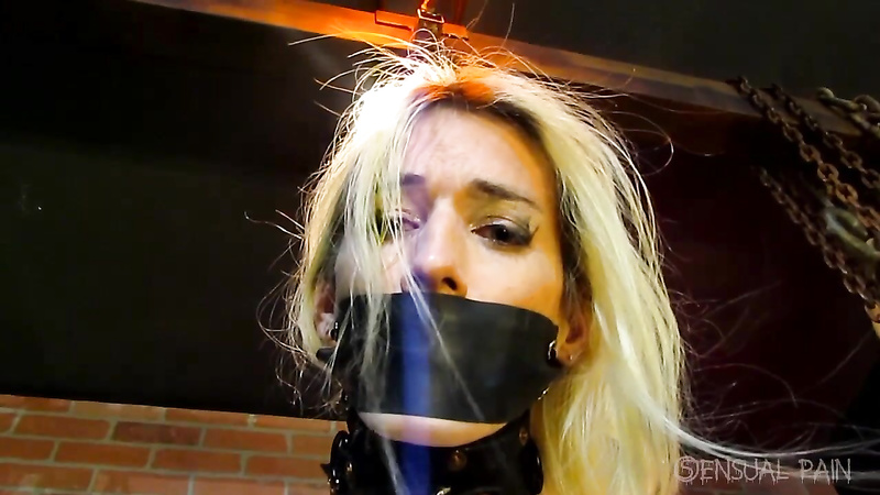 Lexy Bound In Leather And Pain