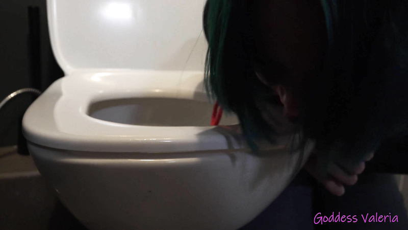 Cleaning Slave In My Toilet