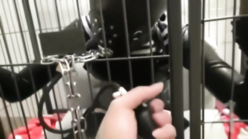 Caged Asian breath playing