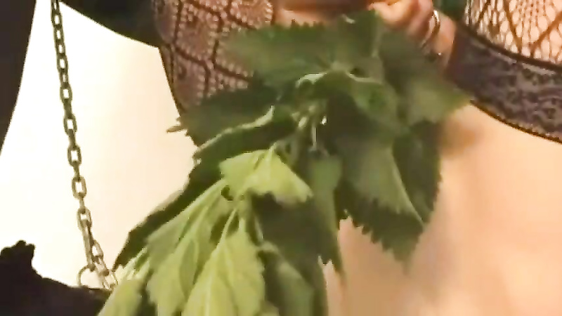 Hook’s and nettles bondage