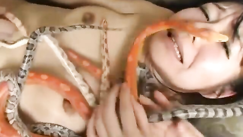 Asian snake playing