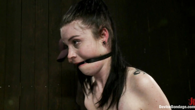 DEVICE BONDAGE  Sybil Hawthorne