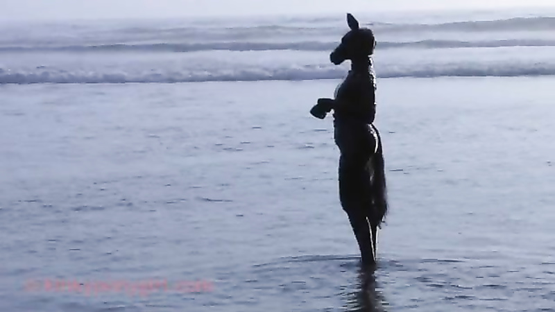 KINKY PONYGIRL - Beach Horse