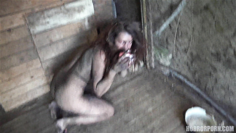 HORROR PORN: Wild Beast